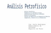 analisis petrofisico