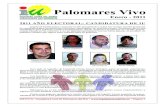 Boletín Enero 2011 - IU Palomares del Río