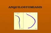 Anquilostomiasis 1