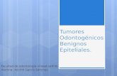 Tumores Odontogénicos Benignos epiteliales