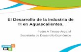 la industria de TI en Aguascalientes ENE 2010 esp