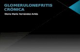 Glomerulonefritis Crónica