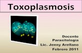 Parasitologia Basica: Toxoplasmosis