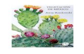Vegetación de México de Jerzy Rzedowsky parte 1