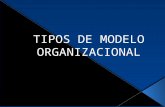 TIPOS DE MODELO ORGANIZACIONAL EQUIPO 2