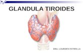 Tiroides 1