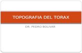 12.) Topografía del Tórax - Prof. Pedro Bolívar
