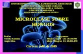 MICROCLASE DE HONGOS 2007