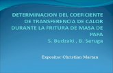 DETERMINACION DEL COEFICIENTE DE TRANSFERENCIA DE CALOR DURANTE