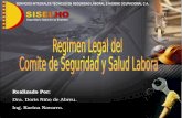 REGIMEN LEGAL DEL COMITE DE SEGURIDAD Y SALUD LABORAL