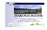 Awacachi PM