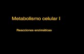 Clase 3 Metabolismo celular I