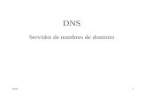 Tema Aplicaciones DNS