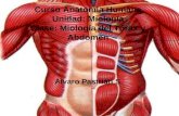 Miología del tórax y abdomen