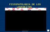 Fisipatologia de Los Leucocitos i y II(2)