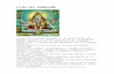 Citas Del Hinduismo