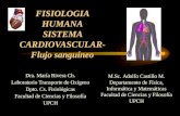 Hemodinamia-flujo Sanguineo Enfermeria