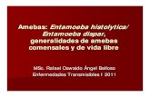 Amebas Entamoeba Histolytica