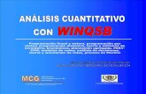 manual winqsb español