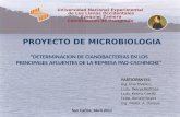 PRESENTACION MICROBIOLOGIA