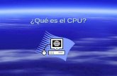 que es el CPU