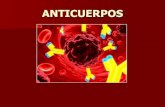 Trabajo de Los Anticuerpos(Fisiologia)2003-97