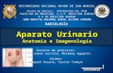 Aparato Urinario. Anatomía e Imagenología - Raquel Susana Castro Tamayo
