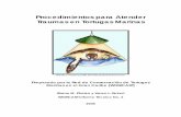 Procedimientos Para Atender Tortugas Marinas