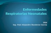 Enfermedades Respiratorias Neonatales