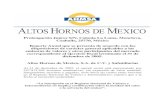 Informe_Anual_altos Hornos de Mexico