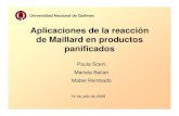 Presentacion Reaccion de Maillard