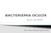 BACTEREMIA OCULTA