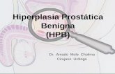 Hiperplasia  Prostatica  Benigna