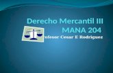 Derecho Mercantil III