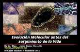 03- Evolución Molecular antes de la VIDA