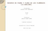 Reserva de Fauna y Flora de Los Flamencos