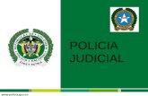 Antecedentes Policia Judicial