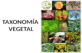 Taxonomía Vegetal