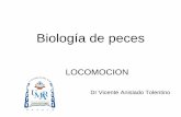 Biologia de peces, Locomocion