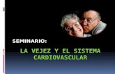 La Vejez y El Sistema Cardiovascular