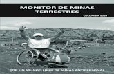 Monitor de Minas Terrestres Colombia 2010