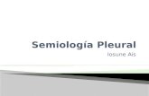 Semiolog­a pleural