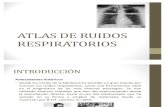 Atlas de Ruidos Respiratorios