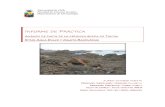 Análisis de pasta de la cerámica burda de Taltal sitios Agua Dulce y Caleta Bandurrias