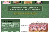 Enf Dermatologicas