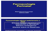 Farm Perinatal2008