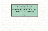 El Derecho Procesal Constitucional de Amparo-samuel Abad Yupanqui