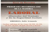 Guia de Estudio Laboral - Argentina