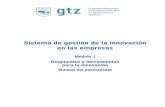Módulo I   Sistema de gestión de la innovación  GTZ