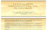 T22114EXPOSICIÓN FLOTACIÓN DIFERENCIAL DE SULFUROS